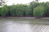 【沖縄の文化】亜熱帯気候 081208102943_IMGP6179